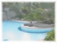 Bahay Marikit Hotel - Swimming Pool View